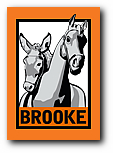 logo_the_brooke